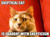 skeptical-cat-is-fraught-with-skepticism