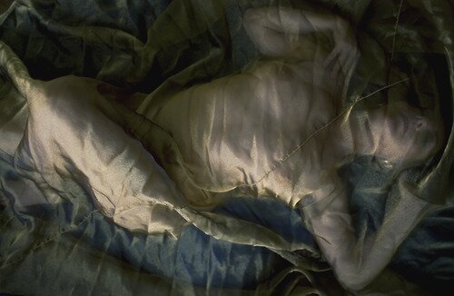 "Nikki Silver swimming in silk." 2013